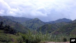 La région du Masisi dans l'est de la RDC.