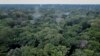 "On parle souvent du premier poumon, l'Amazonie, et du deuxième, le bassin du Congo", explique un expert.