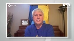 Учитель музики зі США допомагає тваринам з України. Відео