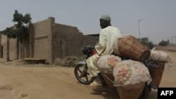 Un agriculteur utilise une moto pour transporter des tomates récoltées dans sa ferme de Jibia, le 17 février 2024.