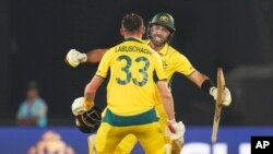 India Cricket WCup