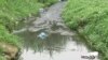 Gabon : campagne de restauration des mangroves