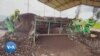 Quand des jeunes rwandais prennent en main la gestion des déchets ménagers