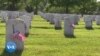 Hommage, concert et défilés pour le weekend du Memorial Day à Washington