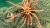 16x9 Image