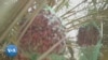 16x9 Image