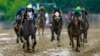 Seize the Grey wins Preakness, ends Derby winner's Triple Crown bid 