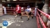 L'intelligence artificielle arrive dans les sports de combat