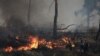 A firefighter and volunteers extinguish a wildfire burning in Stamata, near Athens, Greece, June 30, 2024.