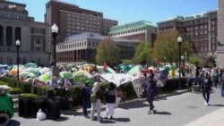 Tensions sur les campus américains : Israël prêt à accueillir des étudiants juifs des États-Unis