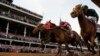 Mystik Dan wins 150th Kentucky Derby in photo finish 