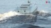 Ukraine's Sea Drone Technology Gaining Significance