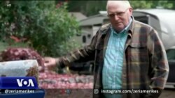 Si i shpëtojnë disa njerëz trashëgimisë gjenetike të Alzheimerit?