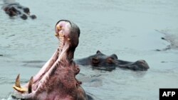Les accidents de bateaux sont fréquents au Malawi où l'absence de transport fluvial régulier conduit de nombreuses personnes à traverser les lacs et rivières sur des bateaux parfois en mauvais état