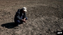 En janvier, la température moyenne au Maroc a battu un record, excédant de +3,8°C les normales de la période 1991-2020.