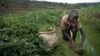 Idadi ya watu wanaolazimishwa kufanya kazi imeongezeka duniani: ILO