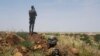 La localité de Boni est administrée par le département de Torodi près de la frontière du Burkina Faso dans la région de Tillabéri.