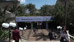 Changement climatique, biodiversité, pollution : l'ONU se mobilise à Nairobi pour sauver la planète