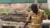 Côte d'Ivoire : la pollution de la lagune Ebrié menace l'environnement et la santé