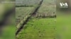 На розмінування України після війни може піти близько десяти років – експерти. Відео