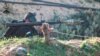 L'attaque du Hamas en Israël a fait des centaines de morts.