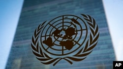 應俄羅斯的要求 安理會周五召開生物武器緊急會議