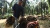 Malaysia's Biodiesel Group Opposes Reduction of Biofuel Mandate