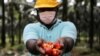 Malaysia's Palm Oil Board Urges Countries to Reconsider Food Versus Fuel Priorities