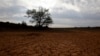 Camponeses no Namibe queixam-se do fracasso da campanha agrícola 2014