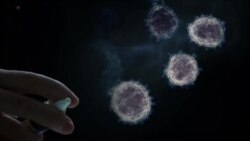 Des vaccins covid administrés par spray nasal?