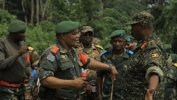 Reprise des combats entre l'armée congolaise et les rebelles du M23