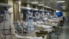 WHO Urges China to Share Data on Origin of COVID-19 Pandemic 