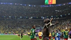 "Dieu nous a grondés": les fans réagissent à l'élimination des Lions indomptables 