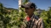 "L'agriculteur a toujours été le maillon faible de la chaîne, c'est nous qui payons les pots cassés, mais la légalisation peut être une issue", estime ce paysan marocain.