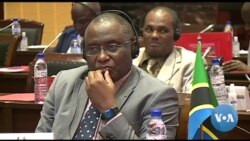 Moçambique e Tanzânia discutem defesa transnacional 