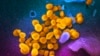 UK Patient Had COVID-19 for 505 Days Straight, Study Shows 