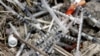 FILE - In this May 22, 2008 file photo, used syringes and needles are piled on the ground under an underpass on the west side of San Antonio where drug addicts shoot up.
