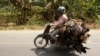 Cambodia Issues Health Warning Over Bird Flu Outbreak in Phnom Penh