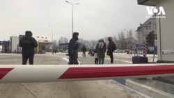 Pобота під час війни українських та міжнародних організацій із захисту тварин. Відео