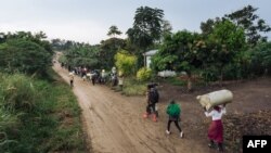 Les ADF ont fait souche depuis le milieu des années 1990 dans l'est de la RDC, où ils sont accusés d'avoir massacré des milliers de civils.