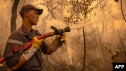 Les services de lutte anti-incendie sont parvenus jeudi à contrôler les sept principaux sinistres à Larache.