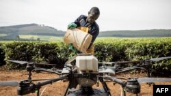 Les produits agricoles et les engrais ne tombent pas sous le coup des sanctions à l'égard de la Russie, mais les armateurs ne voulaient plus engager leur bateaux faute de trouver à les assurer.