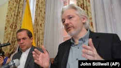 Julian Assange (John Stillwel, AP)
