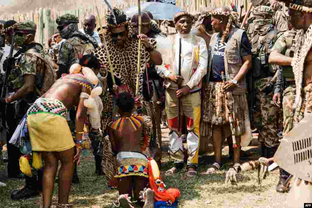 កុមារកុលសម្ព័ន្ធ Zulu ម្នាក់បង្ហាញការសម្តែងរាំទៅកាន់ព្រះមហាក្សត្រប្រជាជាតិ Amazulu ព្រះអង្គ Misuzulu kaZwelithini (កណ្តាល) ក្នុងអំឡុងពិធីបុណ្យប្រចាំឆ្នាំ Umkhosi Womhlanga នៅព្រះបរមរាជវាំង Enyokeni ក្នុងក្រុង Nongoma ប្រទេសអាហ្រ្វិកខាងត្បូង កាលពីថ្ងៃទី ១៧ ខែកញ្ញា ឆ្នាំ ២០២២។