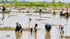 Presiden Jokowi (ketiga dari kiri) bersama para Duta Besar negara sahabat melakukan penanaman kembali mangrove di Desa Bebatu, Kalimantan Utara, pada 19 Oktober 2021. Jokowi memasang target untuk merehabilitasi sebanyak 600 hektare lahan mangrove. (Foto: Biro Setpres)
