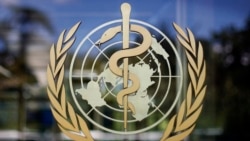 世衛專家組下月到中國調查病毒源頭 評論：可能為時已晚