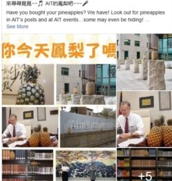 美國在台協會(AIT）在臉書頁面發帖挺台灣鳳梨。
