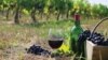 Georgian wine looks for new sales markets