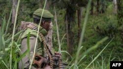 Un soldat des FARDC (Forces Armées de la République démocratique du Congo) prend position lors d'échanges de tirs avec des membres des ADF (Forces Démocratiques Alliées) à Opira, Nord Kivu, 25 janvier 2018.
