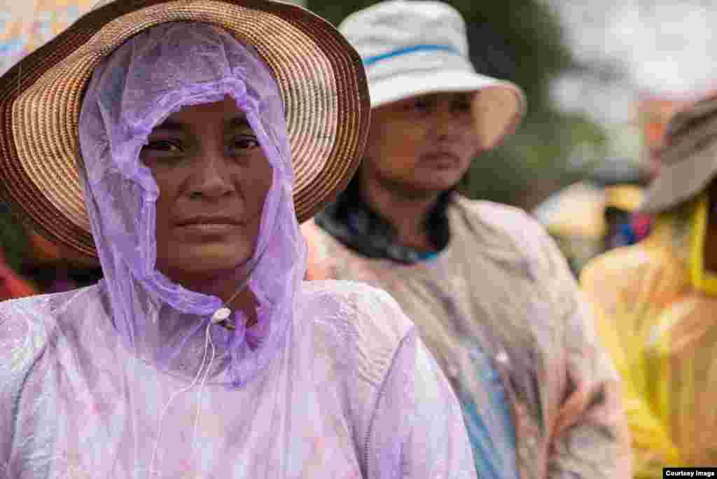 ស្ត្រីម្នាក់មកពីសហគមន៍នៅខេត្តកោះកុងឈរក្រោមមេឃភ្លៀង នៅមុខតុលាការខេត្តកោះកុង ដើម្បីទាមទារឲ្យដោះលែងសកម្មជនបរិស្ថានទាំងបីនាក់របស់ចលនាមាតាធម្មជាតិ កាលពីថ្ងៃច័ន្ទ ទី២៧ ខែមិថុនា ឆ្នាំ២០១៦។ (រូបថតដោយអ្នកនាង ម៉ម កល្យាណី)